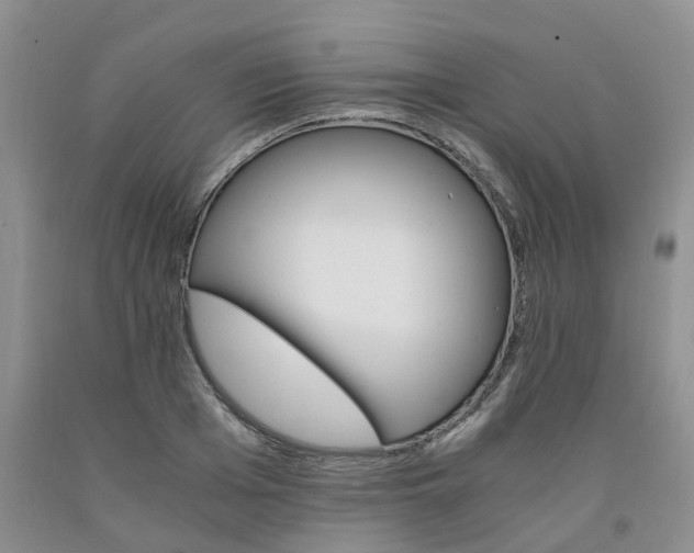 X0000091980985200709201423