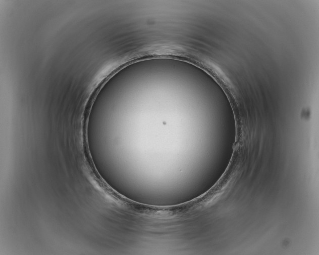 X0000091980986200709201423