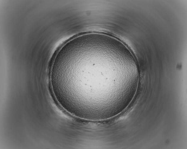 X0000091980987200709201423