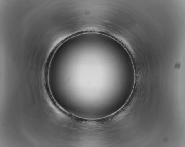 X0000091980991200709201423