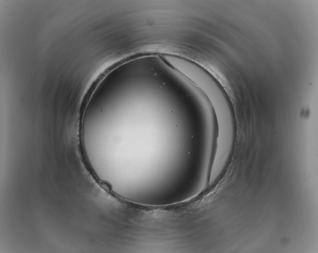 X0000091980992200709201423