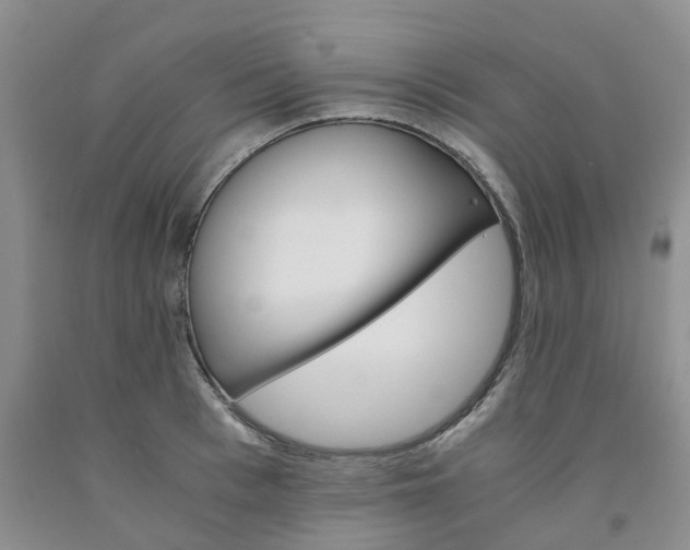 X0000091980993200709201423