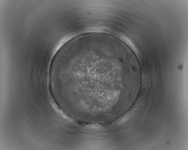 X0000091980994200709201423