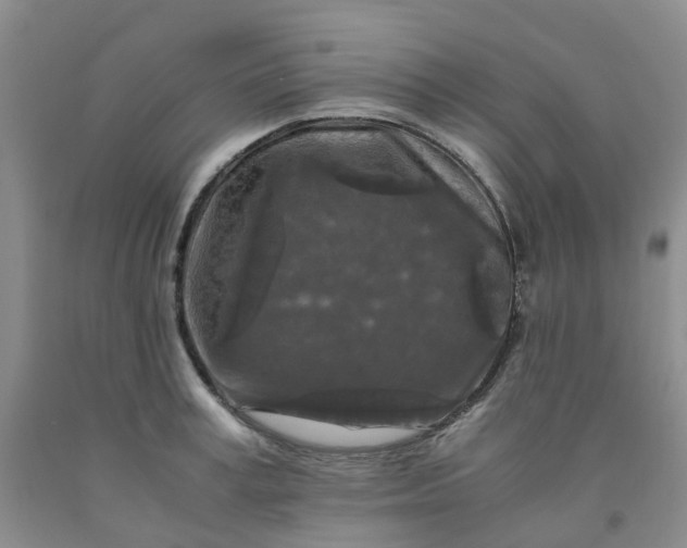 X0000091980995200709201423