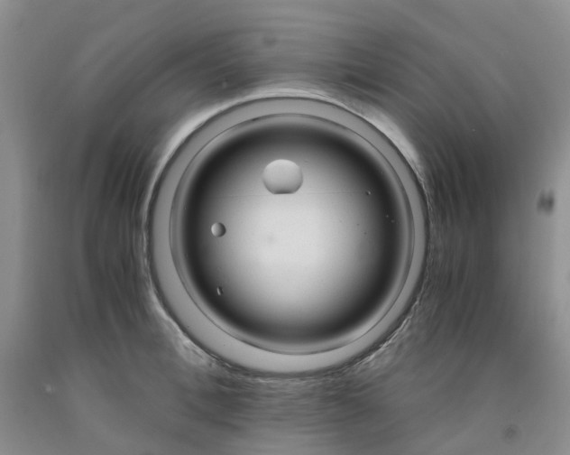 X0000091980996200709201423