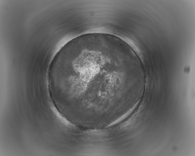 X0000091980998200709201423