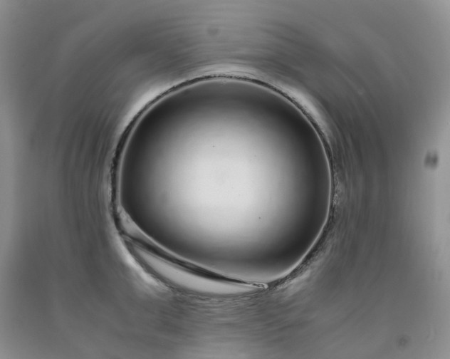 X0000091980999200709201423