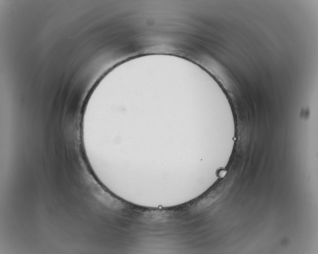 X0000091981000200709201423