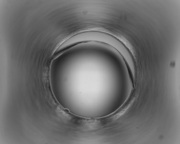 X0000091981001200709201423