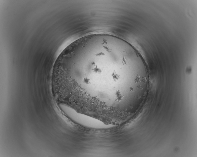 X0000091981002200709201423