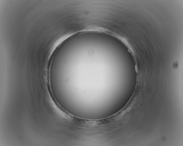 X0000091981003200709201423