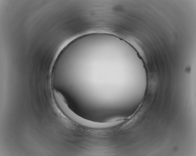 X0000091981004200709201423