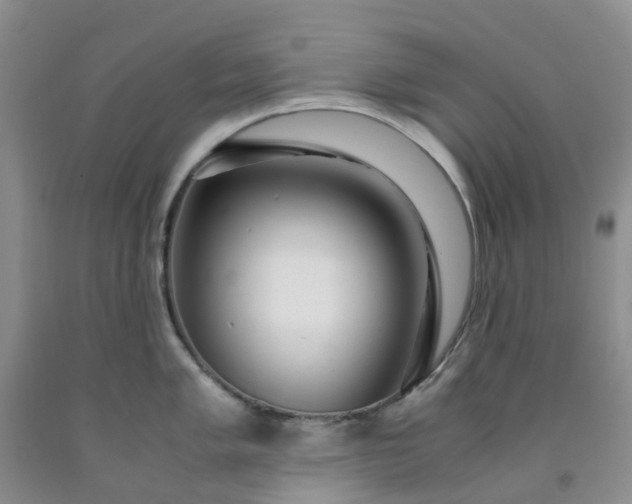 X0000091981005200709201423