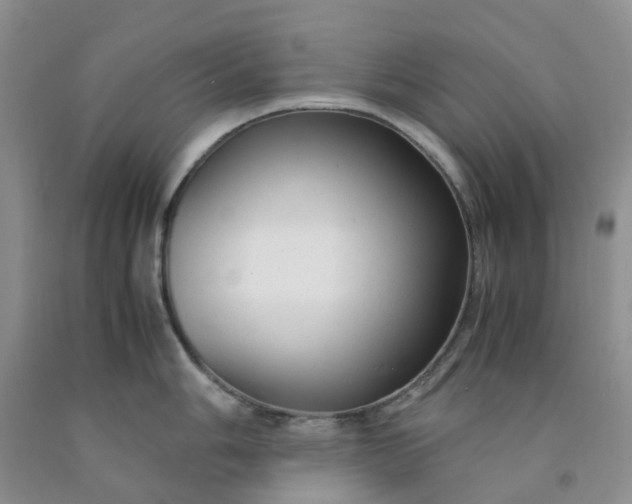 X0000091981006200709201423