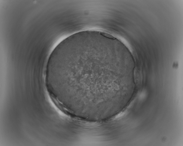 X0000091981007200709201423