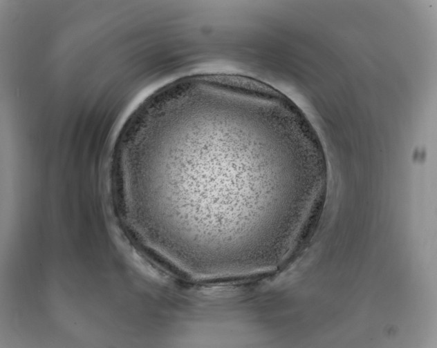 X0000091981008200709201423