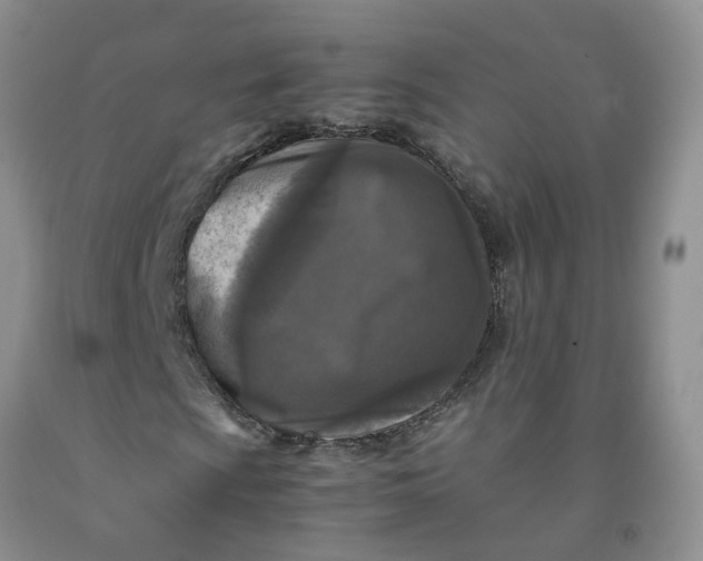 X0000091981009200709201422