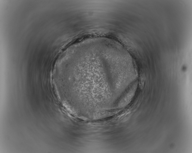 X0000091981010200709201422