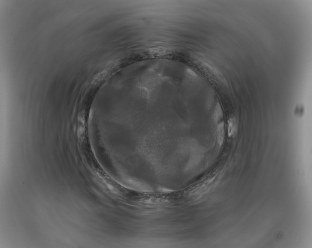 X0000091981011200709201422