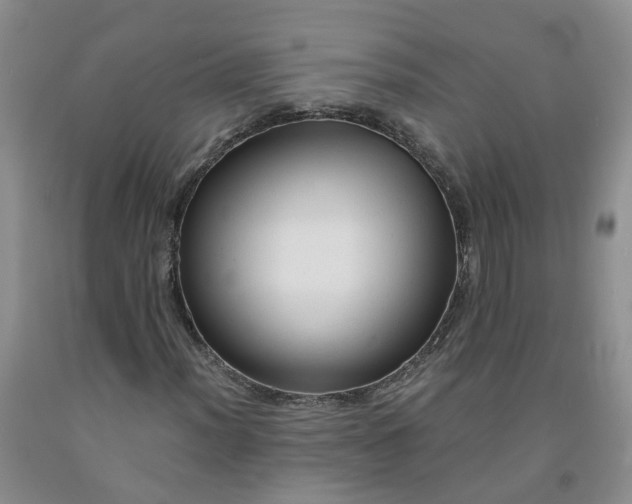 X0000091981012200709201422