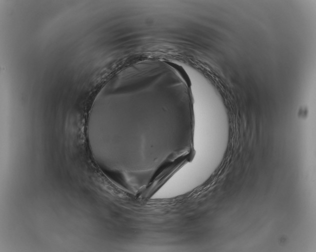 X0000091981013200709201422