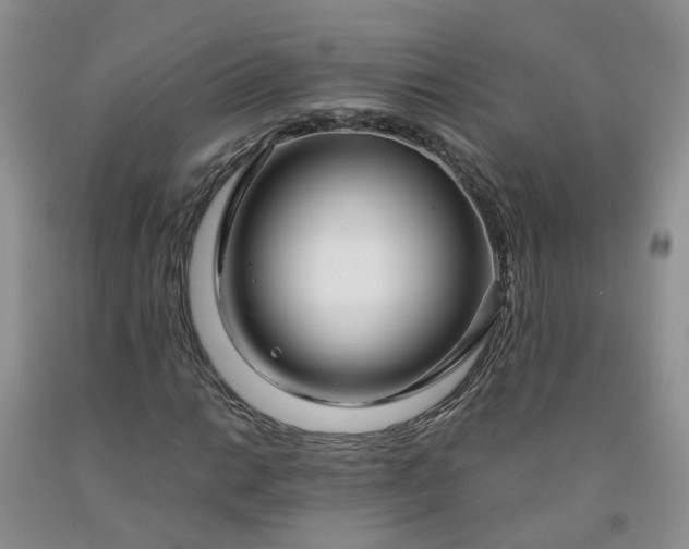 X0000091981014200709201422