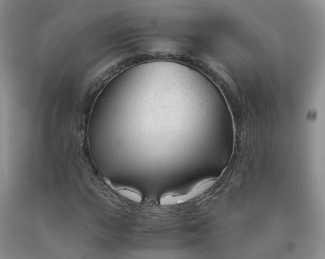 X0000091981015200709201422