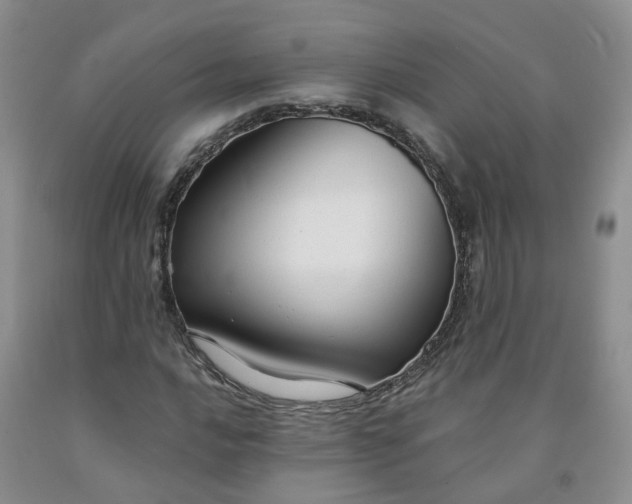 X0000091981016200709201422