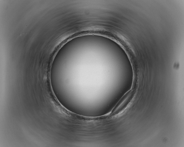 X0000091981017200709201422