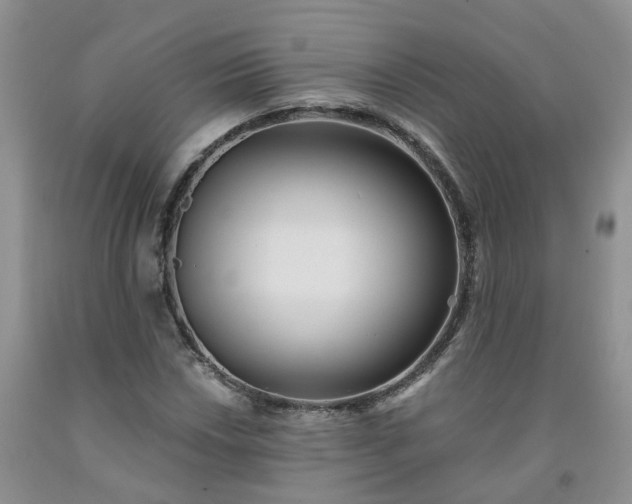 X0000091981018200709201422