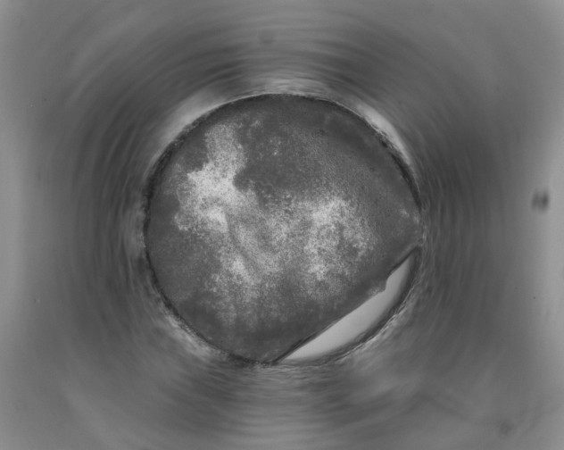 X0000091981019200709201422