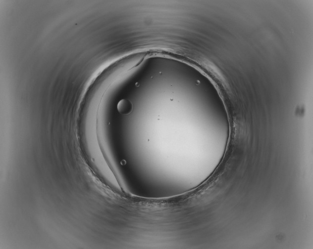 X0000091981020200709201422