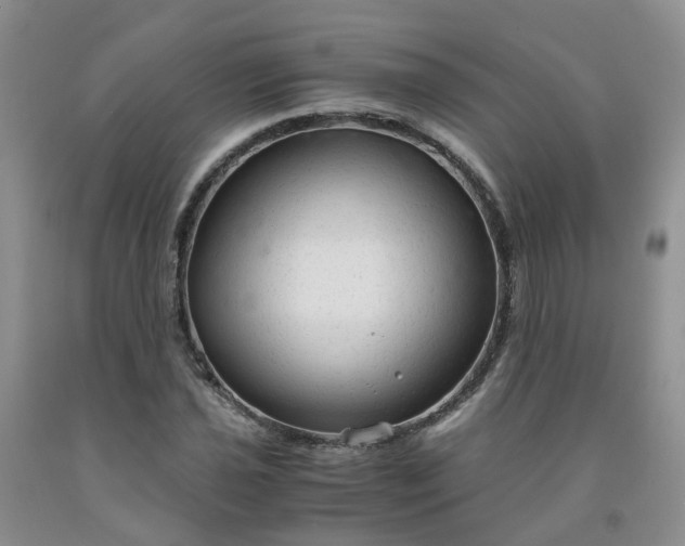 X0000091981021200709201422