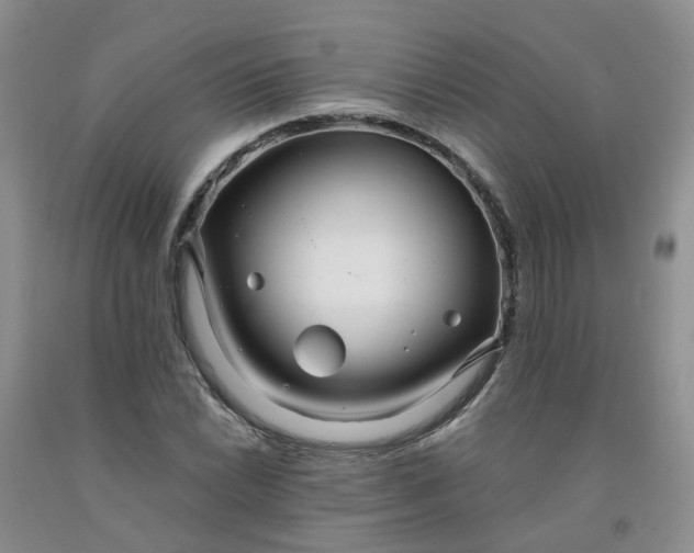 X0000091981022200709201422