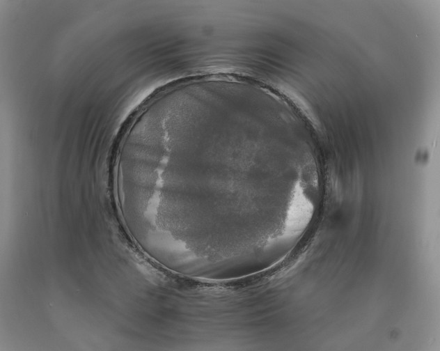 X0000091981023200709201422