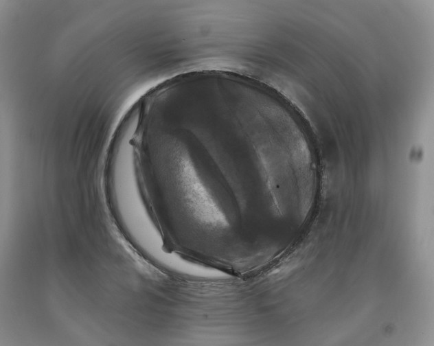 X0000091981024200709201422