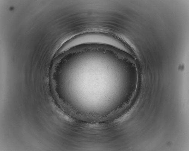 X0000091981025200709201422