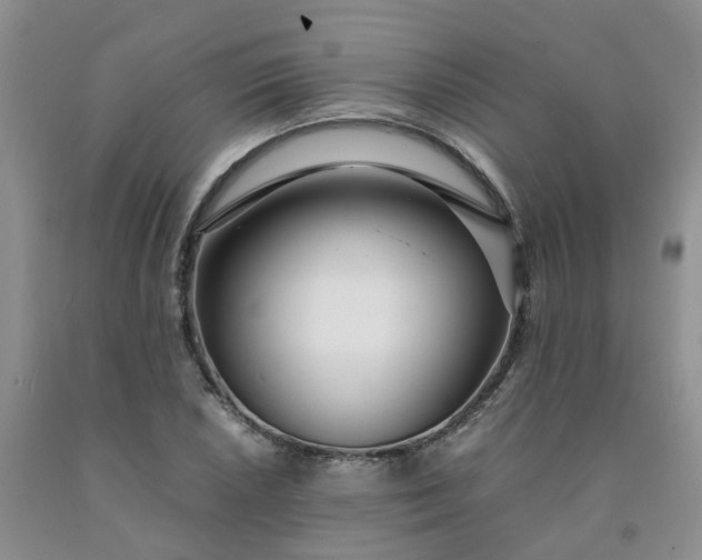 X0000091981026200709201422