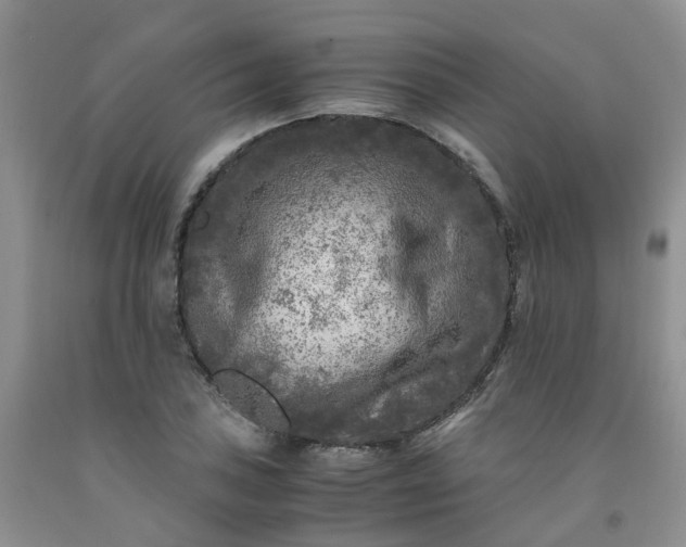 X0000091981027200709201422