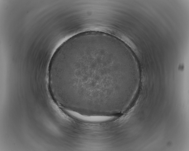 X0000091981028200709201422