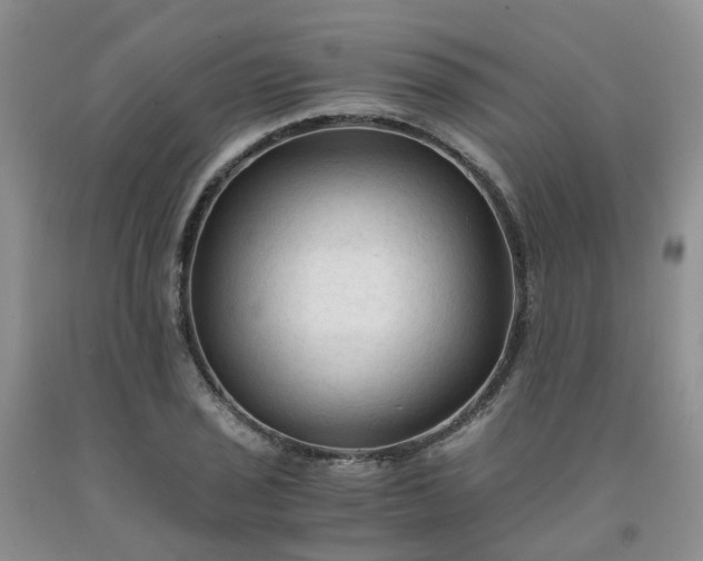 X0000091981029200709201422