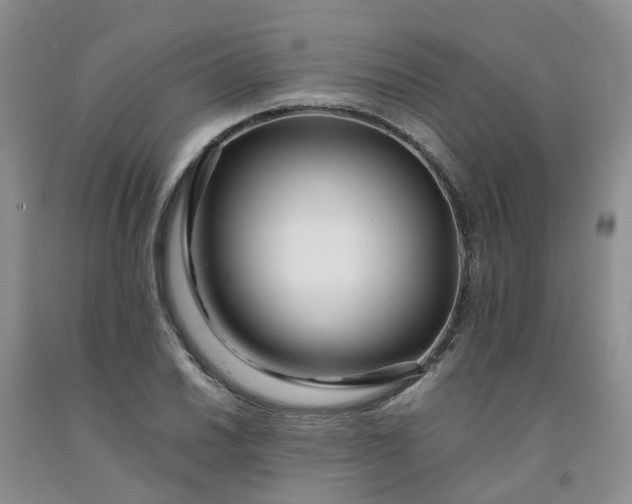 X0000091981030200709201422