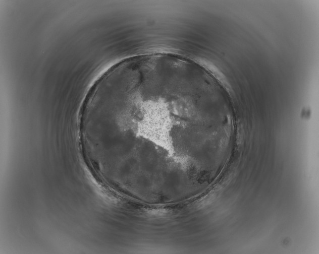 X0000091981031200709201422