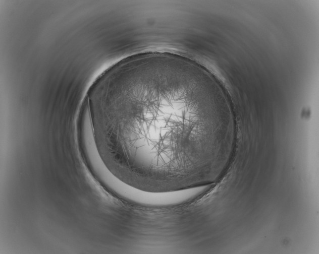 X0000091981032200709201422