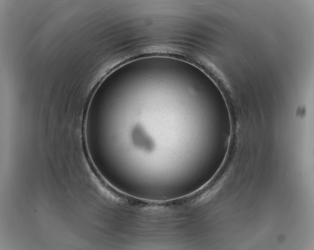 X0000091981033200709201422