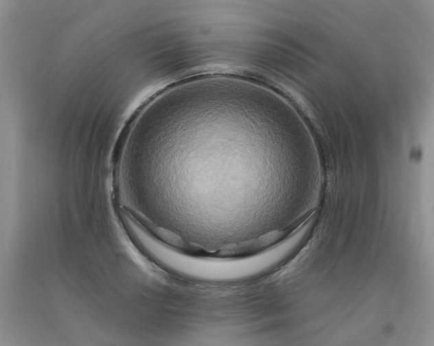 X0000091981034200709201422