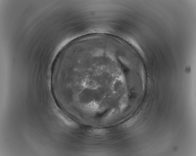 X0000091981035200709201422