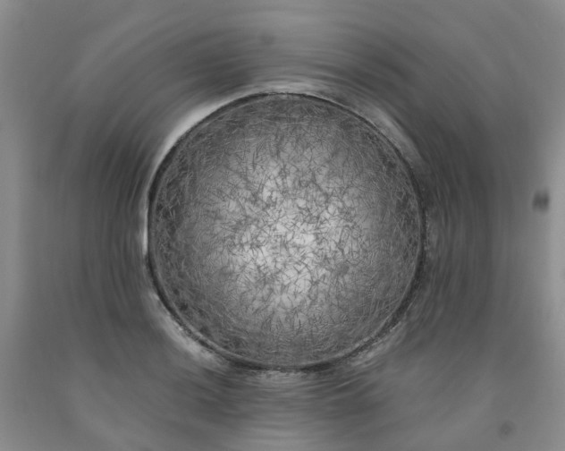 X0000091981036200709201422