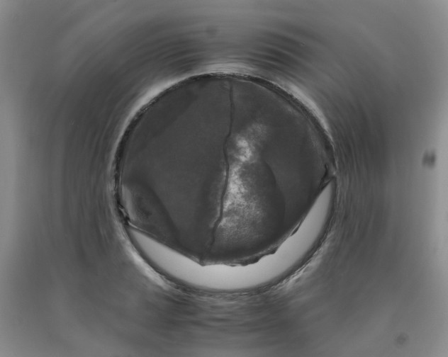 X0000091981037200709201422