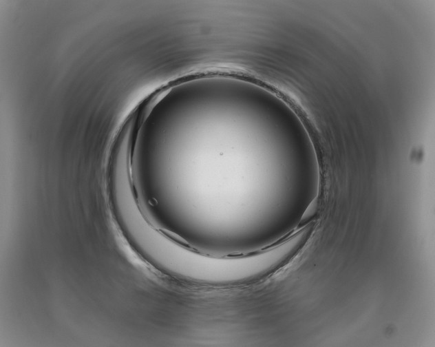 X0000091981038200709201422